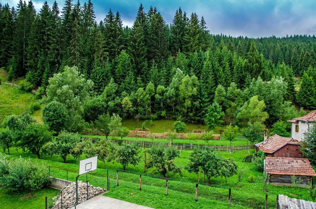 Pensiunea Casa Elvira Вама Екстер'єр фото