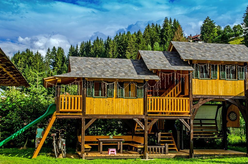 Pensiunea Casa Elvira Вама Екстер'єр фото