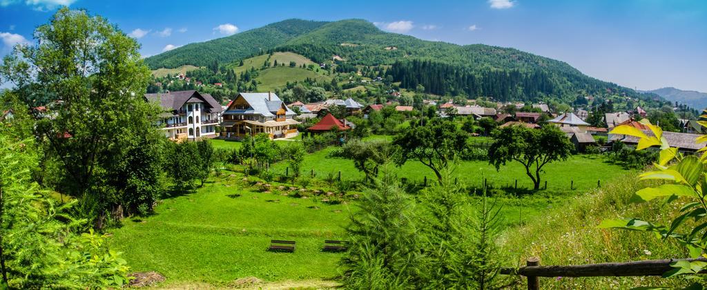 Pensiunea Casa Elvira Вама Екстер'єр фото