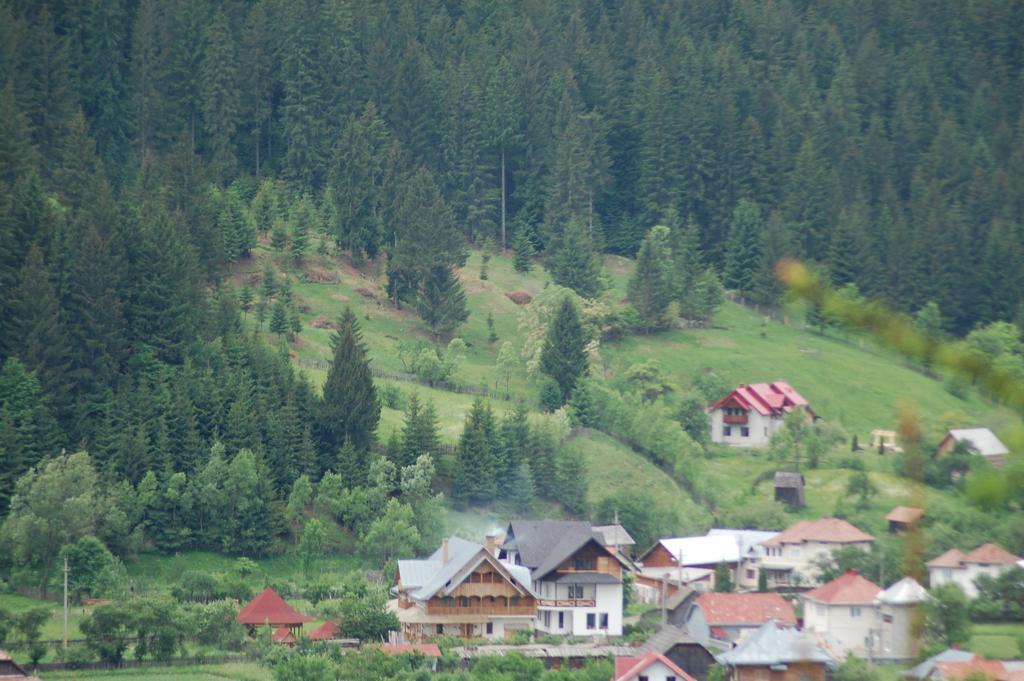 Pensiunea Casa Elvira Вама Екстер'єр фото