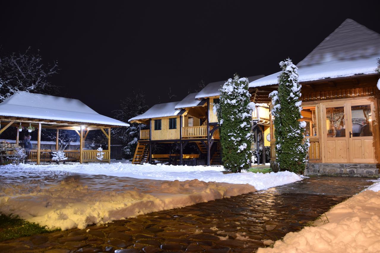 Pensiunea Casa Elvira Вама Екстер'єр фото